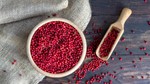 TT hạt tiêu ngày 29/5: Nhiều nhà nhập khẩu thận trọng, tạm dừng ký kết đơn hàng mới
