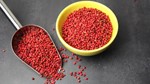TT hạt tiêu ngày 20/8: Nguồn cung nội địa thấp có thể tác động đến giá tiêu trong ngắn hạn
