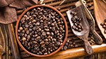 TT cà phê ngày 4/9: Giá trong nước đồng loạt đi xuống theo đà chạm đáy 5 tuần của Arabica