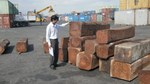 Xuất nhập khẩu gỗ VN - TQ: Số liệu Hải quan hai bên vênh nhau gần 600 triệu USD