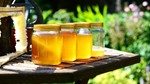 Quy định quản lý việc ghi nhãn mật ong xuất khẩu vào Đài Loan