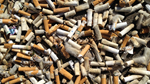 Rác thải từ đầu lọc thuốc lá đang tạo nên mối đe dọa lớn đến ô nhiễm môi trường