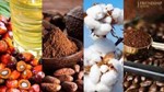 Giá nguyên liệu công nghiệp thế giới ngày 17/3/2023