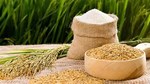 Phi-líp-pin dự đoán lượng gạo nhập khẩu sẽ giảm do nguồn cung nội địa tăng