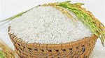 Gạo Việt trúng thầu Indonesia với giá thấp nhất 