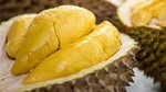 Sầu riêng loạn giá, xuất khẩu giảm sâu