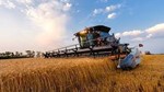 Strategie Grains nâng dự báo sản lượng lúa mì và lúa mạch của EU