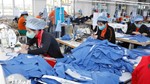 5 năm EVFTA: Quan hệ thương mại Việt Nam-EU tăng trưởng ổn định và mạnh mẽ