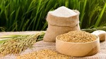 TT lúa gạo ngày 12/8: Giá gạo nguyên liệu tăng nhẹ 100 - 150 đồng/kg