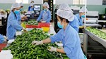 Kinh tế tuần hoàn: “Hộ chiếu xanh” cho hàng Việt xuất ngoại 