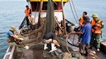 Quyết liệt gỡ “thẻ vàng” IUU cho thuỷ sản Việt Nam