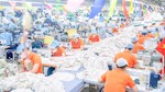 Doanh nghiệp ngóng thông tin về đàm phán thuế đối ứng 