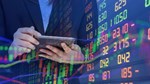 Nửa cuối năm 2026: Thị trường bước vào cuộc chơi chọn lọc cơ hội