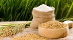 Thị trường lúa gạo hôm nay 10/8: Giá lúa thơm giữ giá, giao dịch đầu tuần chưa sôi động