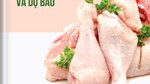 THÔNG TIN THỊ TRƯỜNG THỊT GÀ THÁNG 6 NĂM 2026 VÀ DỰ BÁO