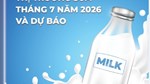 Thông tin thị trường sữa tháng 7 năm 2026 và dự báo