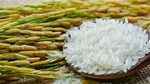 Thị trường lúa gạo ngày 14/8: Gạo xuất khẩu tăng nhẹ, giao dịch trong nước chậm