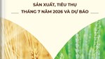 Thông tin mặt hàng gạo - sản xuất, tiêu thụ tháng 7 năm 2026 và dự báo