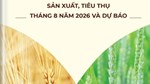 Thông tin mặt hàng gạo - sản xuất, tiêu thụ tháng 8 năm 2026 và dự báo