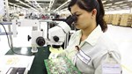 Kiến tạo hệ sinh thái FDI: Bước chuyển đúng lúc của Việt Nam