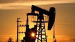 Giá dầu thế giới tuần kết thúc 15/1: Dầu Brent tăng 5,4%