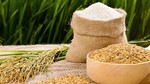 Gạo Việt được đón nhận tại châu Âu