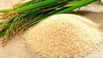 Giá lúa gạo hôm nay 28/1: Gạo nguyên liệu tăng