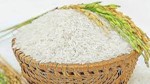 Châu Phi dự kiến nhập 17,7 triệu tấn gạo năm nay, Việt Nam là một trong 4 thị trường chính