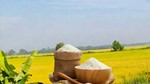 Chinh phục thị trường Nhật Bản: Cơ hội nâng cao giá trị gạo Việt