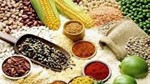 Thị trường hàng hóa trong nước ngày 3/6/2025