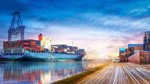 Những mặt hàng xuất khẩu sang New Zealand 5 tháng đầu năm 2025