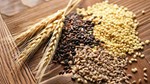 Thị trường hàng hóa trong nước ngày 21/6/2025: Giá gạo ổn định