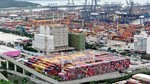 Xuất khẩu sang Canada đạt trên 4,8 tỷ USD trong 8 tháng đầu năm 2025