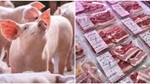 Giá thịt lợn tại Trung Quốc giảm sâu do nguồn cung tăng mạnh