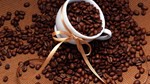 Giá cà phê hôm nay 26/5: Giảm 400 đồng/kg trên diện rộng