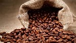 Giá cà phê hôm nay 31/5: Giảm từ 200 đồng/kg đến 300 đồng/kg