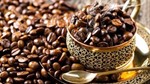 Xuất khẩu cà phê 8 tháng năm 2023 giảm lượng, tăng kim ngạch
