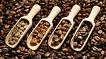 Xuất khẩu cà phê 10 tháng năm 2023 giảm cả lượng và kim ngạch