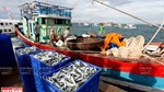Kim ngạch xuất khẩu thủy sản 4 tháng đầu năm 2024 đạt gần 2,72 tỷ USD