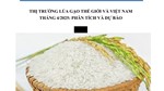 THỊ TRƯỜNG LÚA GẠO THẾ GIỚI VÀ VIỆT NAM THÁNG 4/2025: PHÂN TÍCH VÀ DỰ BÁO