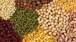 EP phê duyệt mức thuế mới đối với hàng nông sản của Nga và Belarus