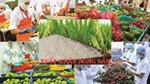 Xuất khẩu nông, lâm, thủy sản 5 tháng đầu năm đạt trên 28 tỷ USD, tăng hơn 15%