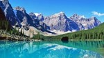Việt Nam xuất khẩu sang Canada: Ưu đãi CPTPP bị "bỏ quên", 81% vẫn dùng MFN