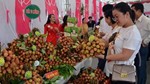 18/7/2025: Kết nối giao thương Lễ hội trái cây và rau củ Việt Nam tại Singapore 2025