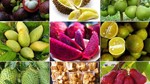 “Cửa sáng” cho nông sản Việt vào Nhật