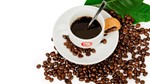 Giá cà phê ngày 15/7/2025: Thị trường dậy sóng, robusta tăng vọt hơn 300 USD/tấn