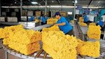 Cao su xuất khẩu gần 70% sang thị trường Trung Quốc