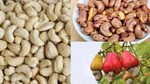 Giá hạt điều xuất khẩu bật tăng gần 24%