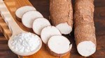 Khối lượng sắn xuất khẩu sang Trung Quốc 6 tháng đầu năm 2025 tăng 70% 