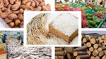 Nông lâm thủy sản Việt trước thách thức và cơ hội mới